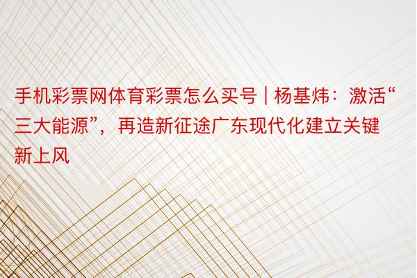 手机彩票网体育彩票怎么买号 | 杨基炜：激活“三大能源”，再造新征途广东现代化建立关键新上风