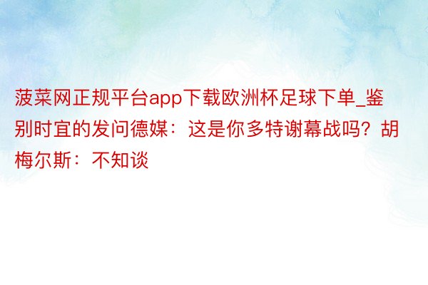 菠菜网正规平台app下载欧洲杯足球下单_鉴别时宜的发问德媒：这是你多特谢幕战吗？胡梅尔斯：不知谈
