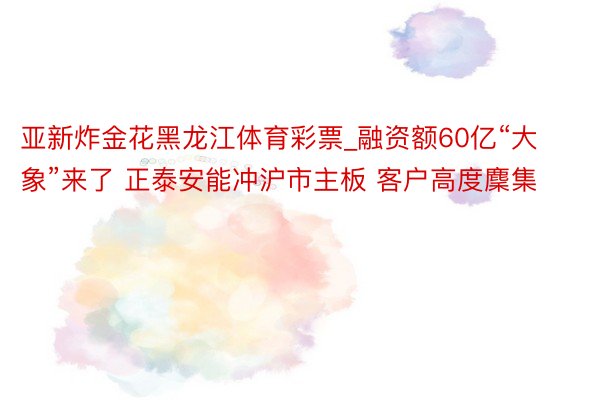亚新炸金花黑龙江体育彩票_融资额60亿“大象”来了 正泰安能冲沪市主板 客户高度麇集